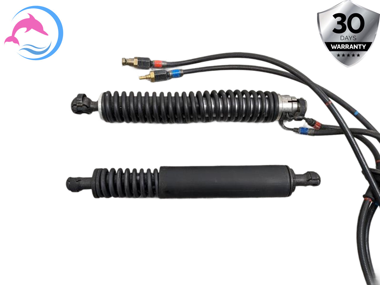 2008 - 2010 OEM PORSCHE CAYENNE LEFT AND RIGHT HATCHBACK TRUNK SUPPORT STRUT SET