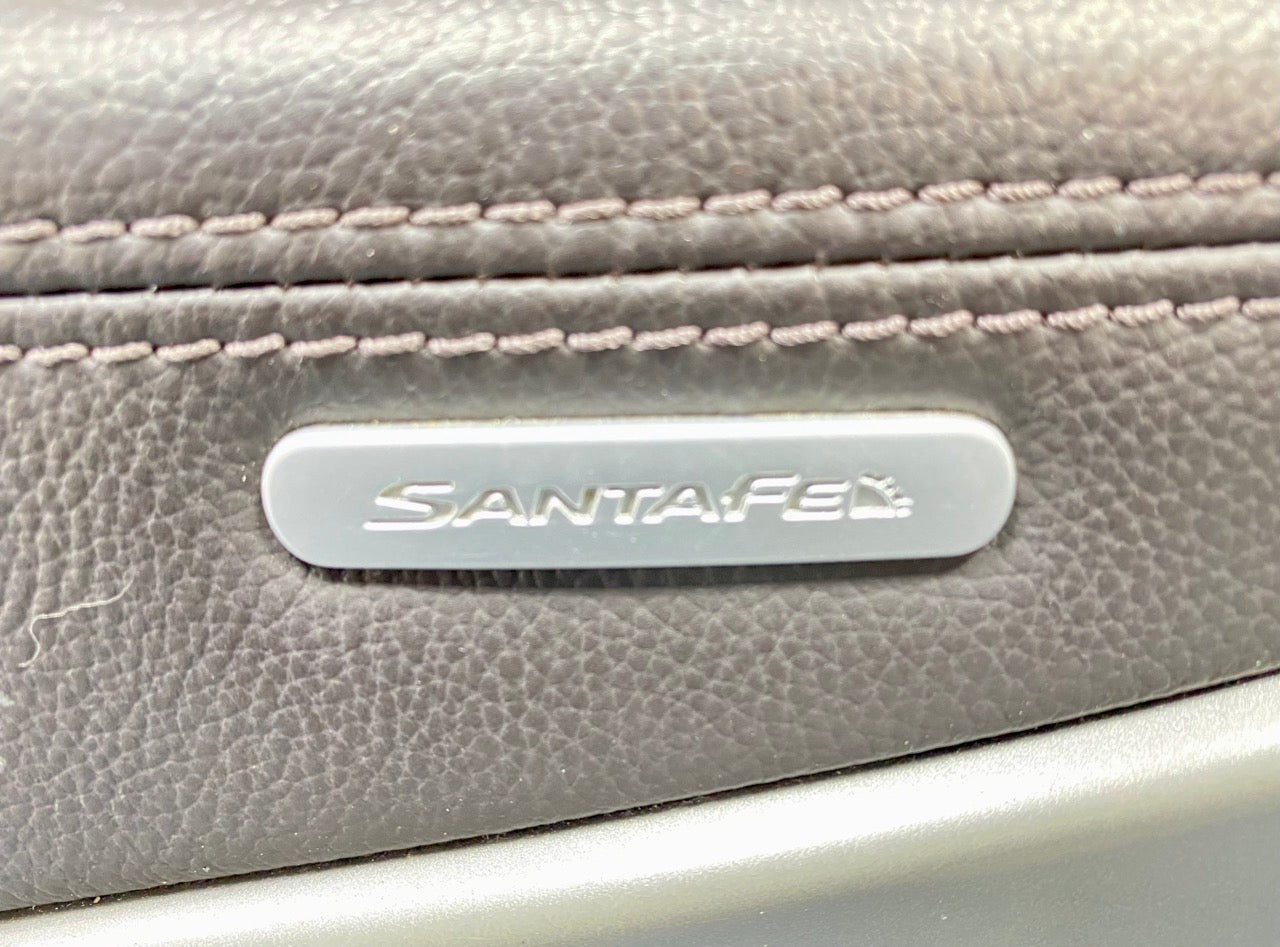 2013 - 2019 OEM HYUNDAI SANTA FE FRONT RIGHT PASSENGER SIDE DOOR TRIM PANEL
