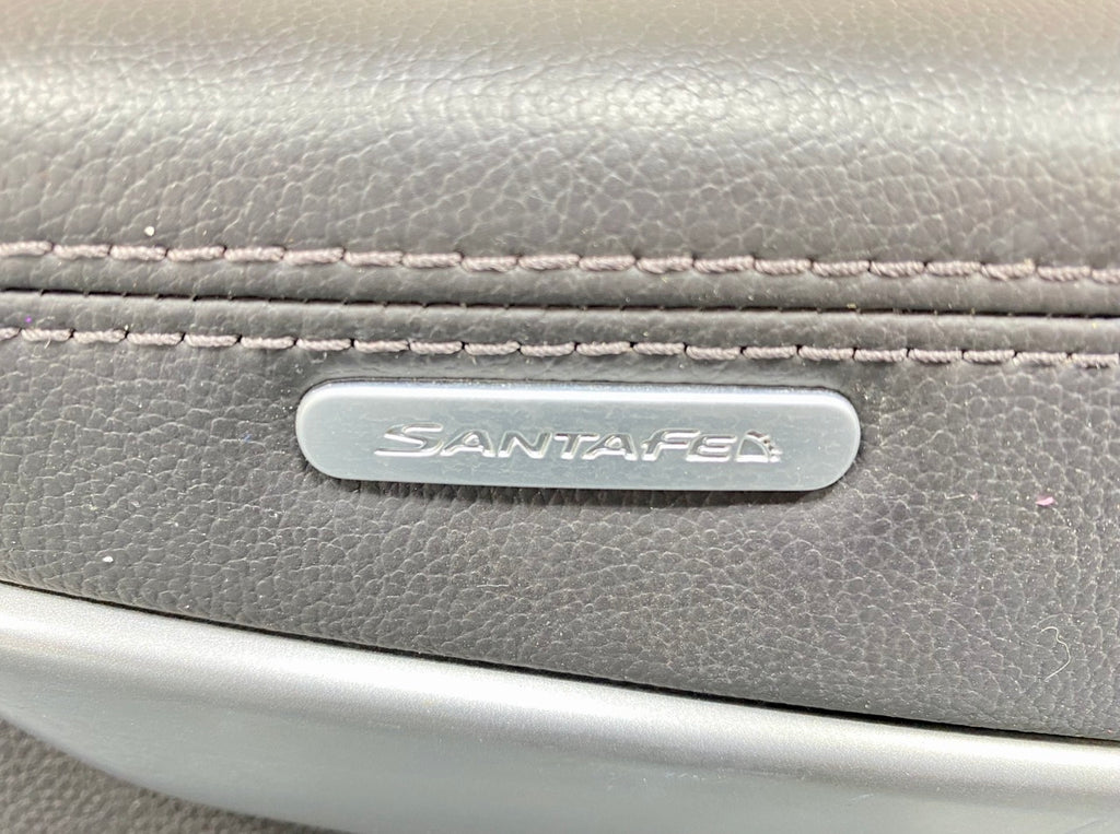2013 - 2019 OEM HYUNDAI SANTA FE REAR LEFT DRIVER SIDE DOOR TRIM PANEL
