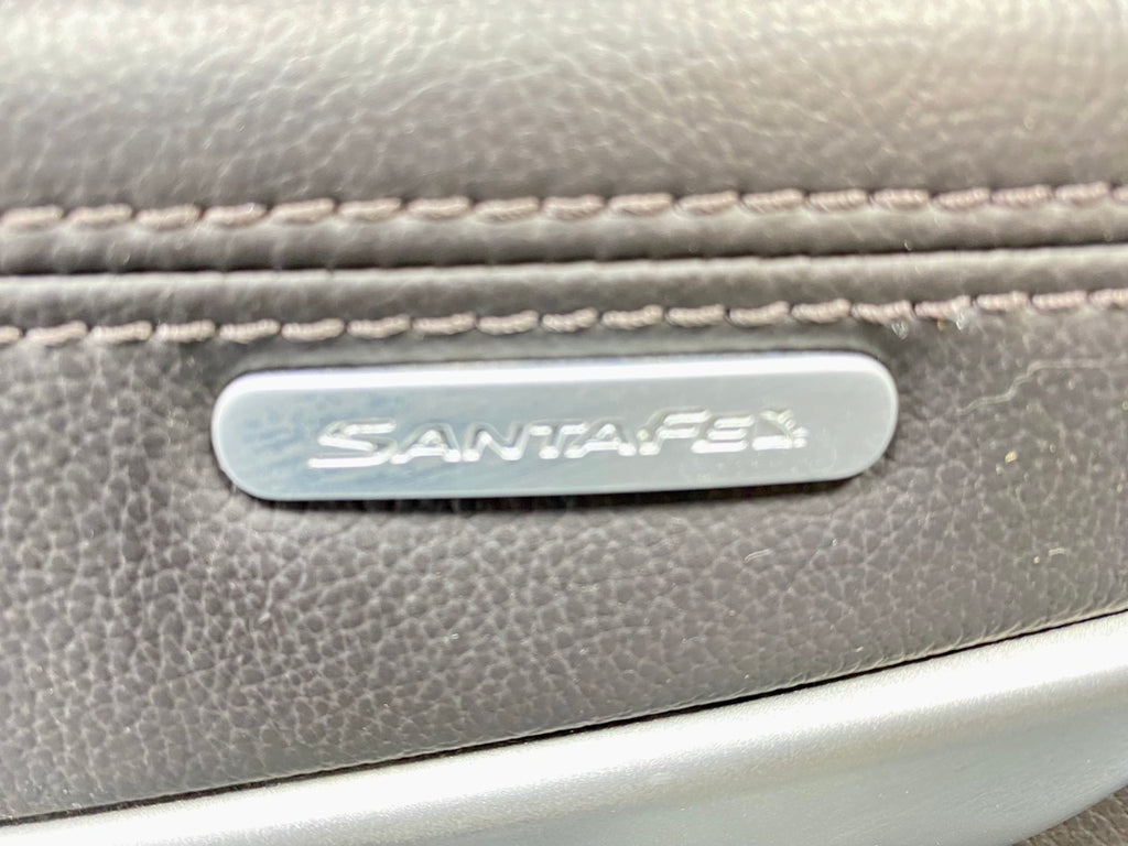 2013 - 2019 OEM HYUNDAI SANTA FE REAR RIGHT PASSENGER SIDE DOOR TRIM PANEL