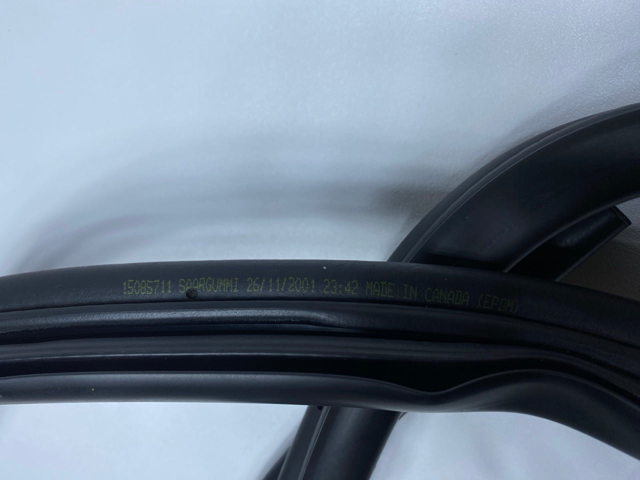 02 - 09 OEM CHEVROLET TRAILBLAZER REAR RIGHT SIDE DOOR SEAL WEATHERSTRIP RUBBER