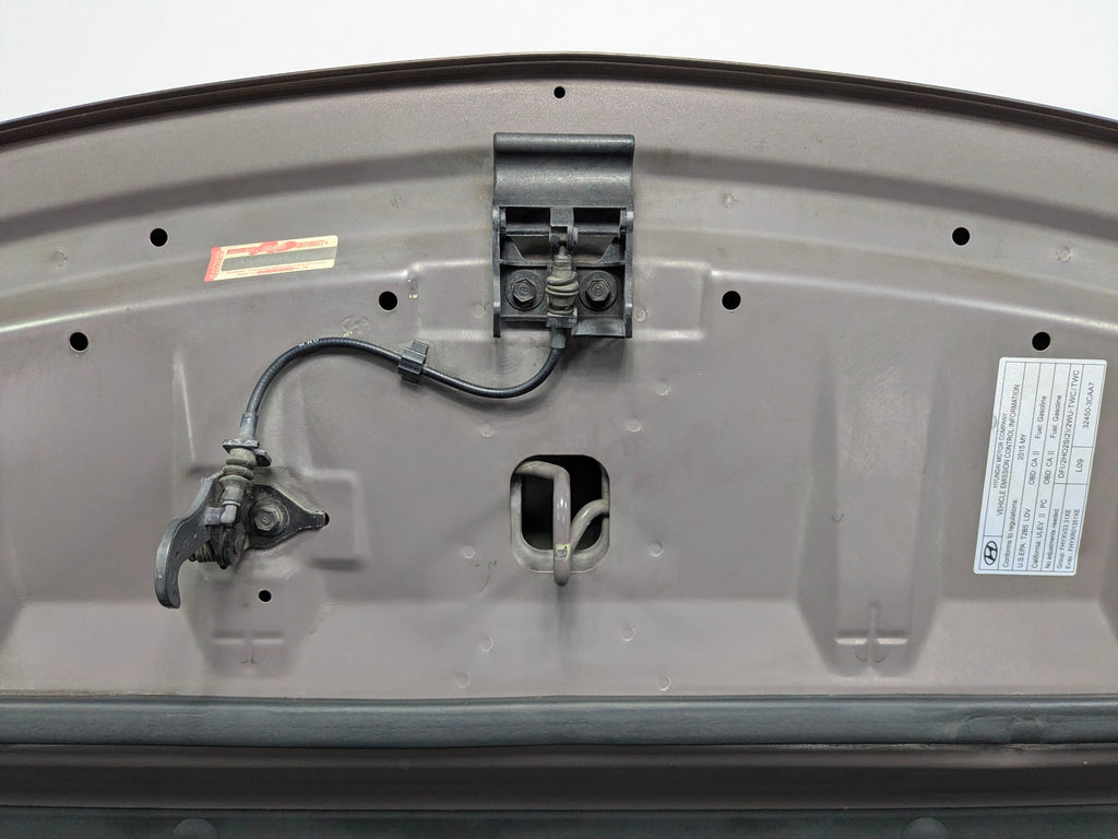 2013 - 2019 OEM HYUNDAI SANTA FE FRONT HOOD PANEL GRAYISH ORANGE