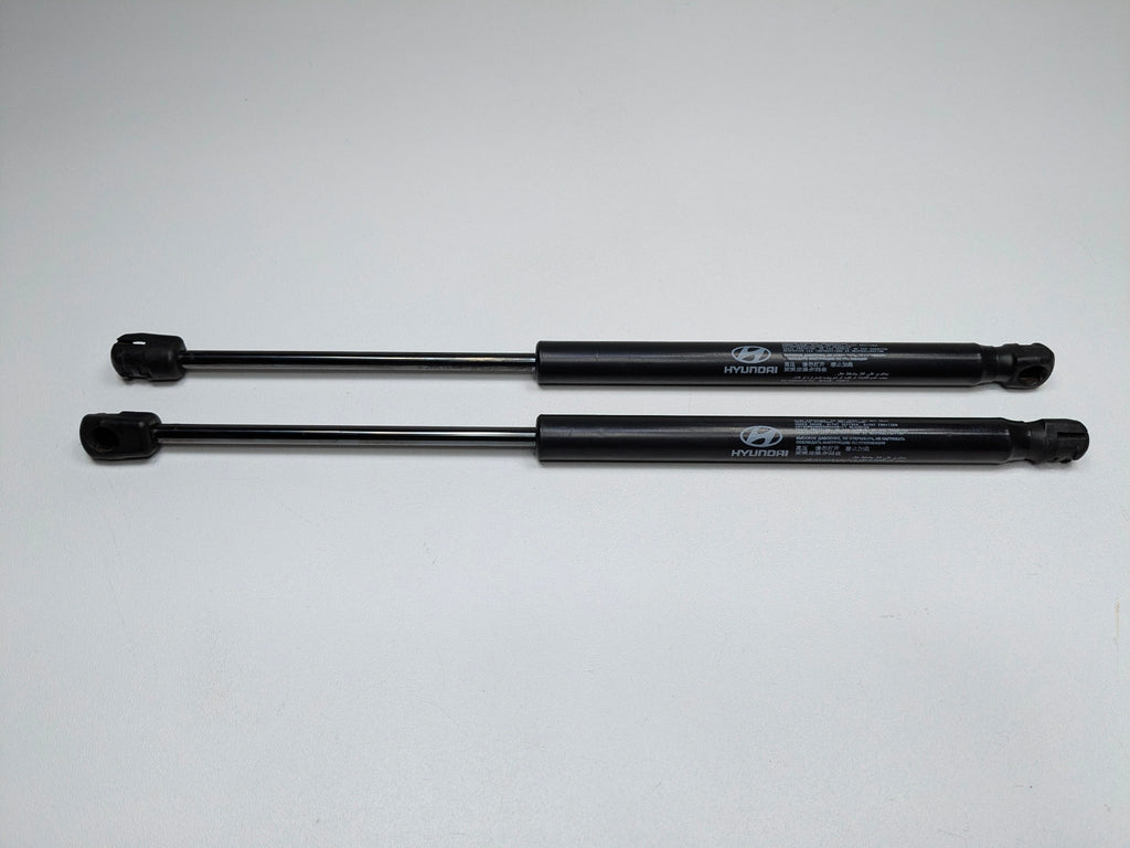 2013 - 2019 OEM HYUNDAI SANTA FE FRONT HOOD LIFT SUPPORTS SHOCKS STRUTS SET OF 2