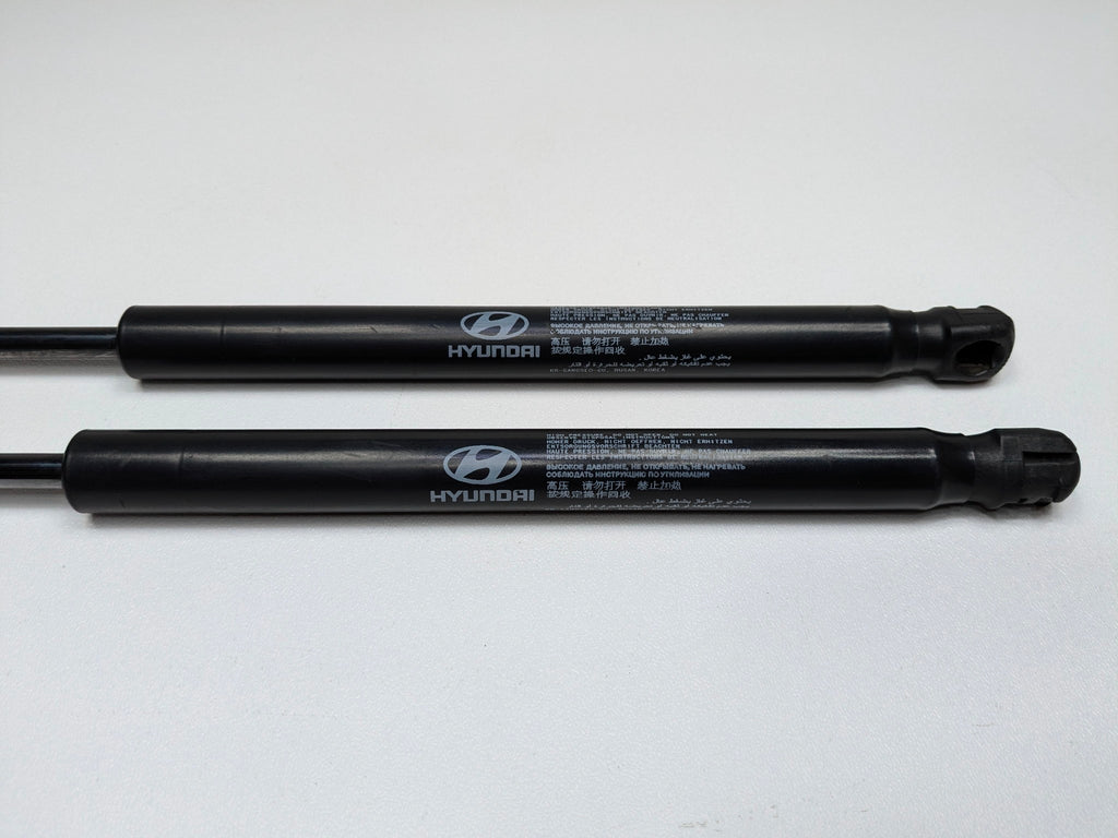 2013 - 2019 OEM HYUNDAI SANTA FE FRONT HOOD LIFT SUPPORTS SHOCKS STRUTS SET OF 2