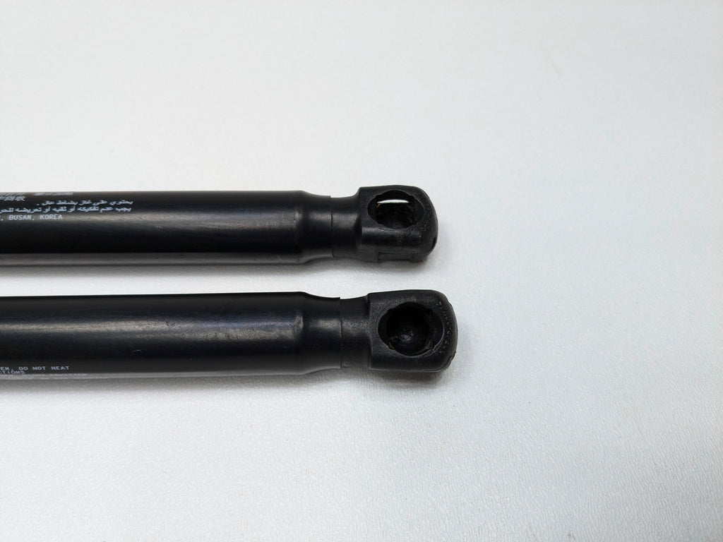2013 - 2019 OEM HYUNDAI SANTA FE FRONT HOOD LIFT SUPPORTS SHOCKS STRUTS SET OF 2