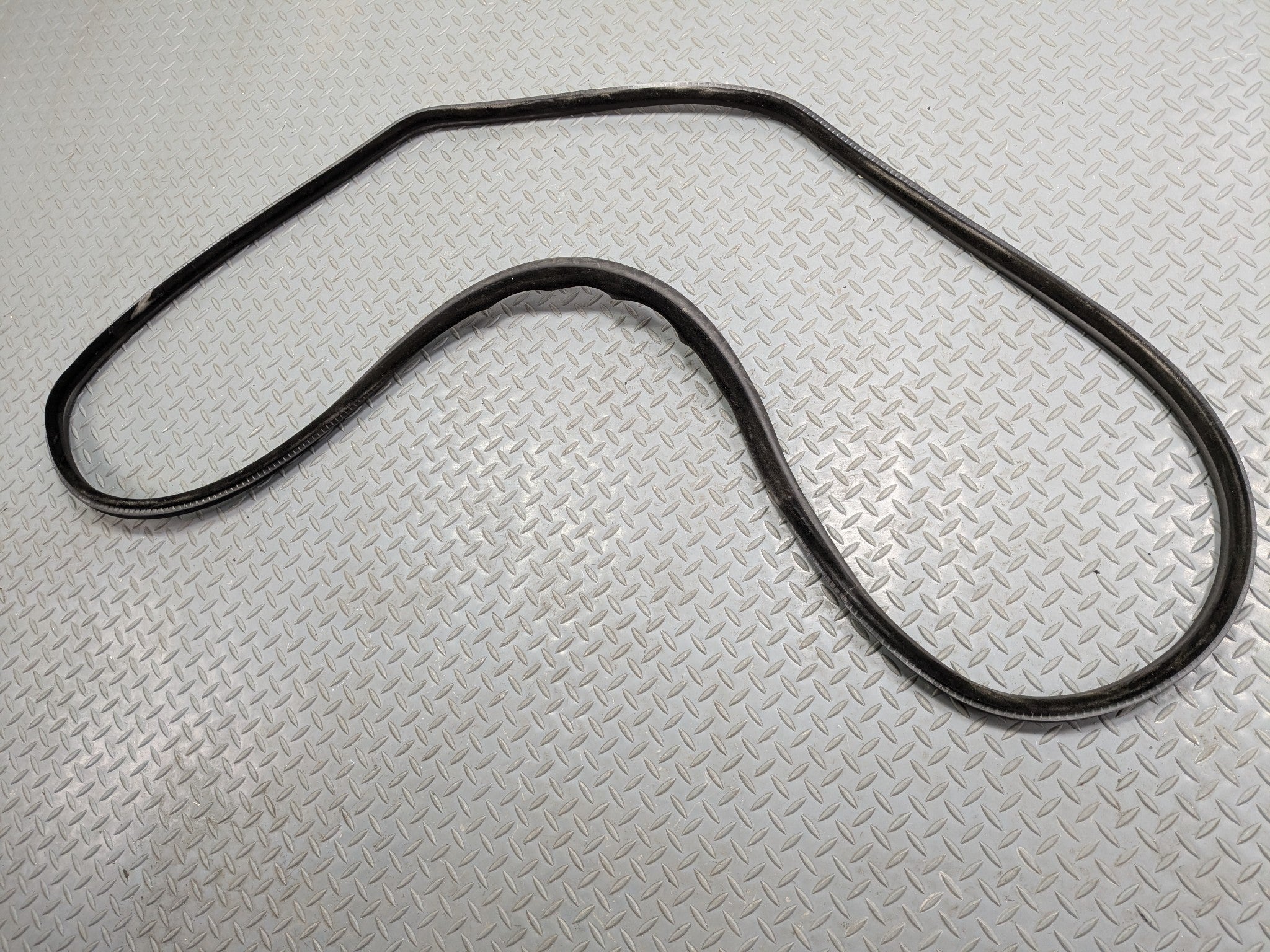 04 - 06 OEM BMW X5 REAR RIGHT PASSENGER SIDE DOOR SEAL WEATHER STRIPPING RUBBER