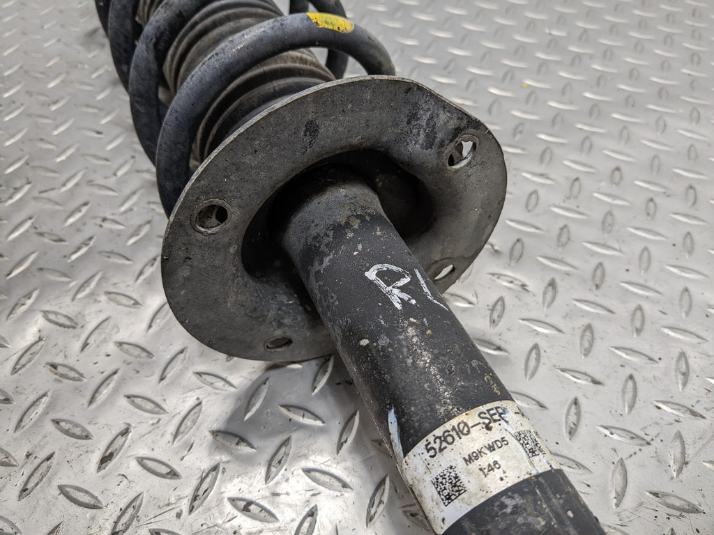 2004 - 2006 ACURA TL OEM SHOCK STRUT COIL SPRING SUSPENSION REAR LEFT SIDE