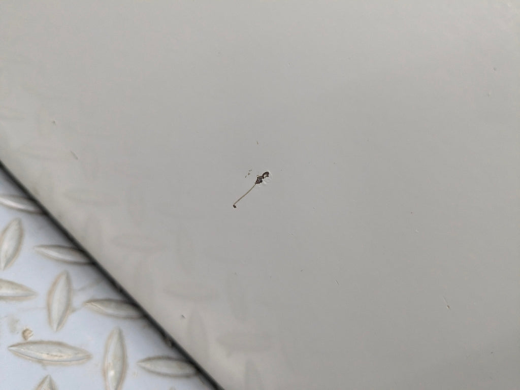 2008 - 2012 FORD ESCAPE OEM DOOR SHELL PANEL FRONT RIGHT PASSENGER SIDE WHITE