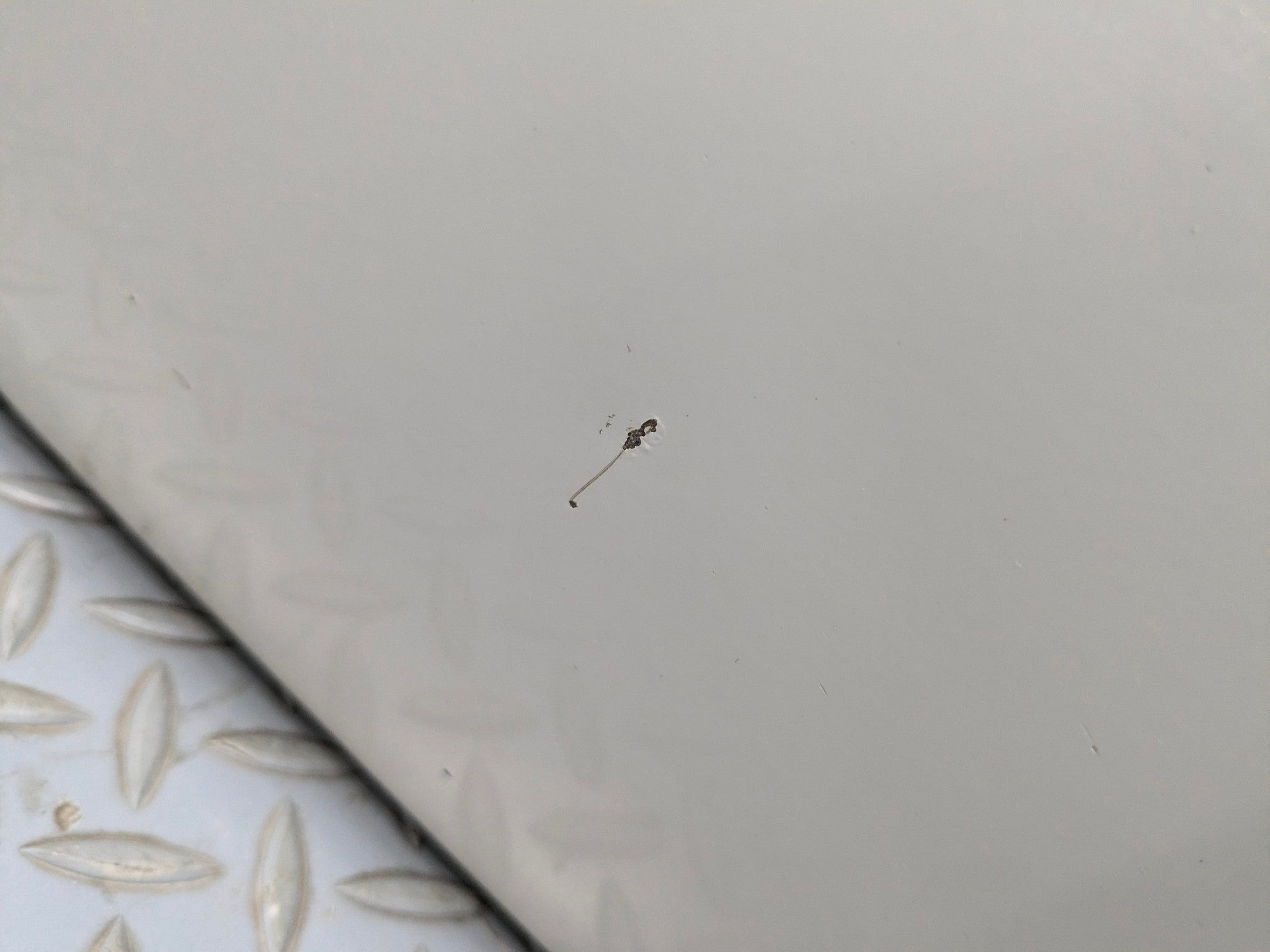 2008 - 2012 FORD ESCAPE OEM DOOR SHELL PANEL FRONT RIGHT PASSENGER SIDE WHITE