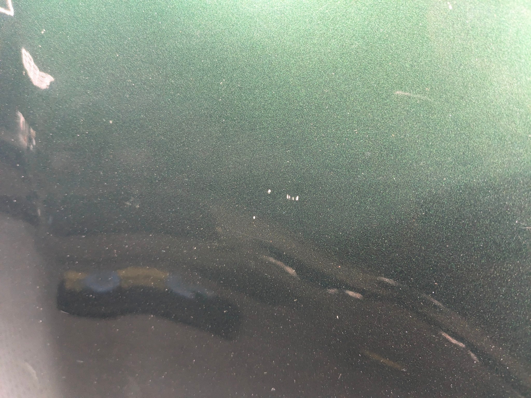 2011 - 2013 MINI COOPER OEM FRONT HOOD BONNET SHELL PANEL ASSEMBLY GREEN