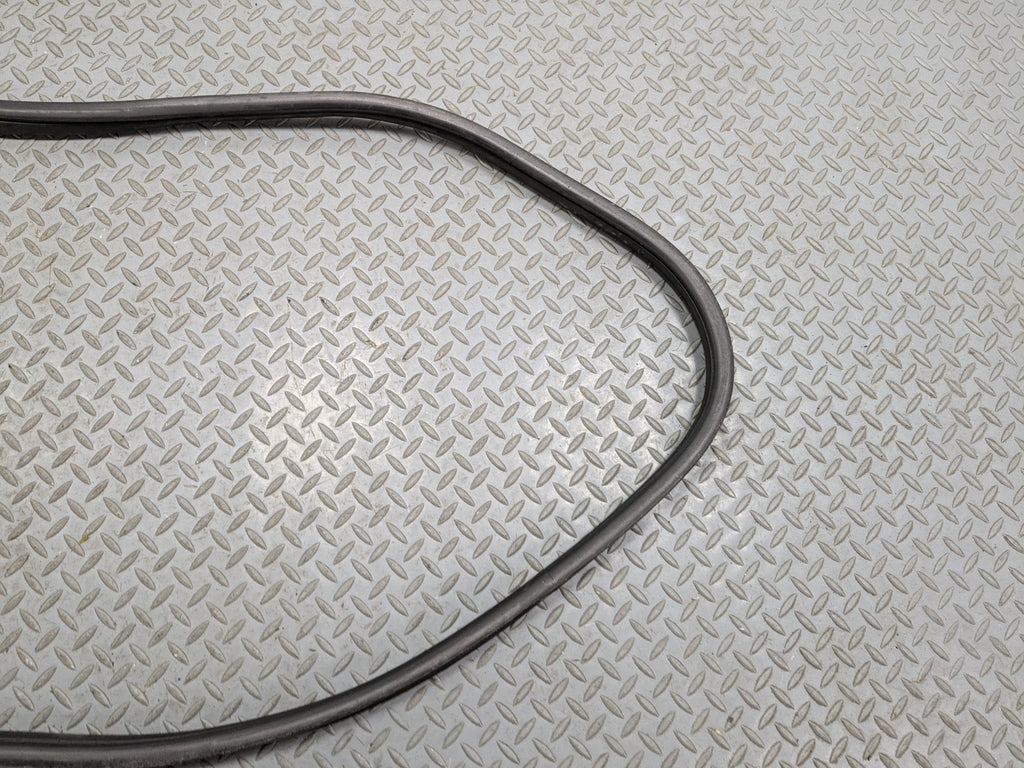 2008 - 2011 BMW X6 OEM DOOR SEAL WEATHER STRIPPING RUBBER REAR LEFT DRIVER SIDE