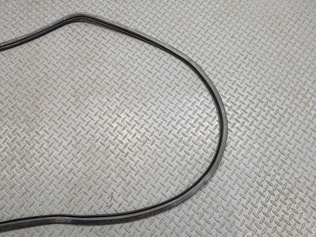 04-10 VOLKSWAGEN TOUAREG OEM DOOR SEAL WEATHER STRIPPING RUBBER FRONT LEFT SIDE