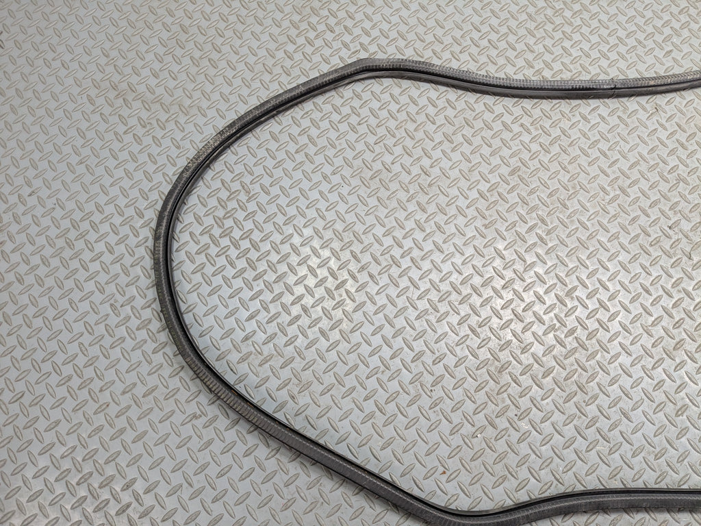 04-10 VOLKSWAGEN TOUAREG OEM DOOR SEAL WEATHER STRIPPING RUBBER FRONT LEFT SIDE